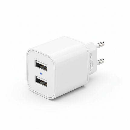 Dual Port Wall Charger - Product View